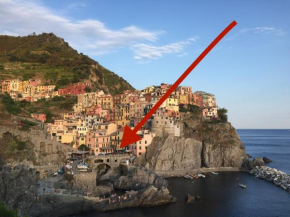Salty Dreams Manarola Manarola